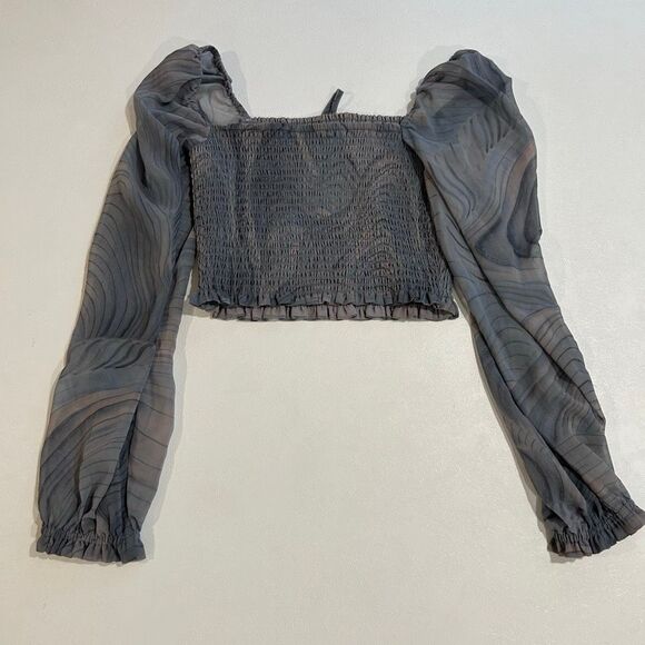 Wilfred Aritzia Sheer Gray Smocked Puff Sleeve Crop Top Size S Romantic Eveningw - Picture 2 of 6